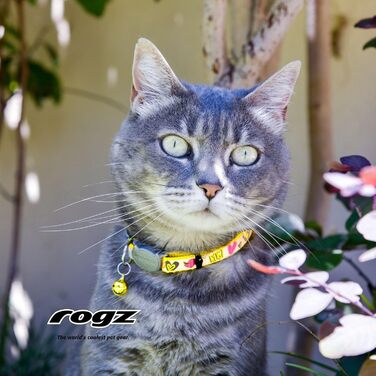 Нашийник для котів Rogz з безпечною застібкою та світловідбиваючими елементами (Чорна кішка) чорний/білий (Жовтий/Рожевий, 20,3-30,5 см)