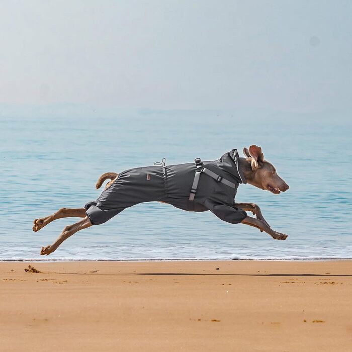 Дощовик для собак PAWBOSE, водонепроникний, для маленьких, середніх та великих собак, з інтегрованим кріпленням для шлейки, сірий, XL