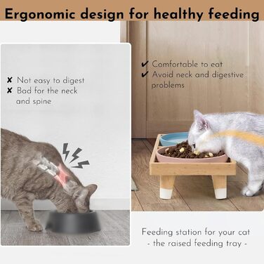 Підвищена годівниця для котів JAZUIHA з 2 широкими мисками, станція для годування з дерев'яною підставкою та силіконовою мискою, діаметр 18 см
