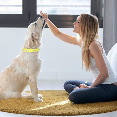 Нашийник для собак HALFSUO з шкіри та поводок Cobo: комплект для маленьких та середніх собак і котів (S, жовтий)