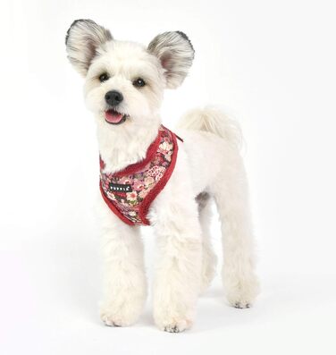 Шлея Puppia Gianni для собак, зимова, тепла, з квітковим принтом, регульована, для малих і середніх порід, бордова, розмір L