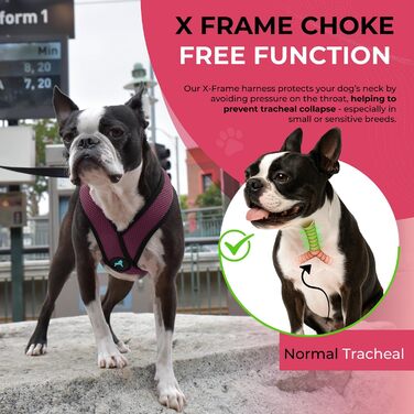 Нашийник для собак Gooby Comfort X для прогулянок, розмір L, фіолетовий. Безпечний, комфортний, для маленьких та середніх собак. Захист від задухи, X-Design, для дому та вулиці.