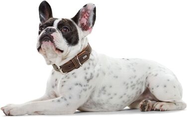 Нашийник для собак HUNTER PORTO, колір: темно-коричневий/cognac, з олив'яної шкіри, м'який та зручний, не травмує шерсть, міцний, ручної роботи, розмір: 60x60 см, темно-коричневий/cognac