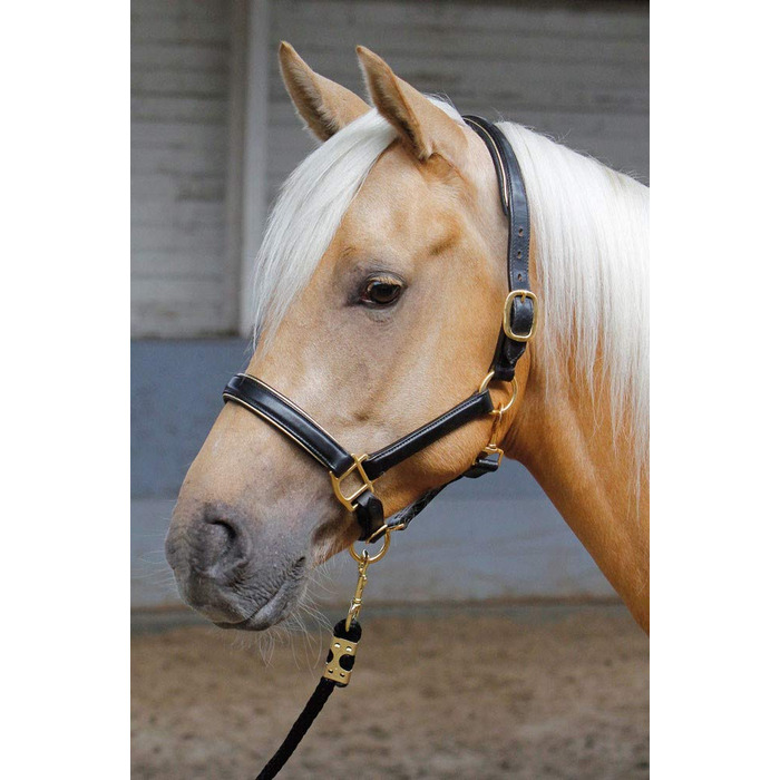 Шкіряний недоуздок Harry's Horse, чорний з сріблястою окантовкою, розмір cob
