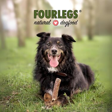 FOURLEGS натуральний жувальний снек для собак із 100% оленячих рогів XXL, набір 5 шт — мінерали, жуйка, кістка, іграшка, смак дичини