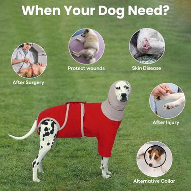 Теплий дощовик-худі для собак з капюшоном та захистом вух, 2 в 1, зелений (M, червоний)