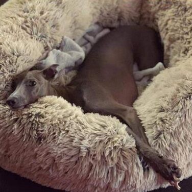 Преміум ортопедичне ліжко для собак великих та екстра-великих порід, Donut ліжко для собак, м'який плюш, кругла собача софа з водонепроникним дном, миється (80см), розмір: 80 x 50 x 18 см, світло-коричневий