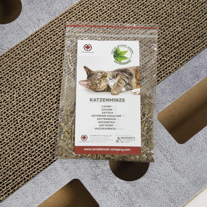 PlayPlate Katzenspielplatz - ігровий майданчик для котів CanadianCat, 65x35x5.8 см, з інтегрованою картонною поверхнею для дряпання, в бетоні, ігровий коврик