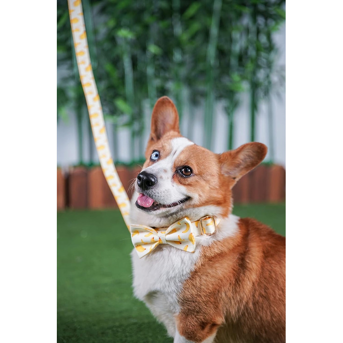 Персоналізоване собаче нашийник з металевою застібкою, індивідуальні жетони для тварин з гравіюванням імені, номера телефону та адреси