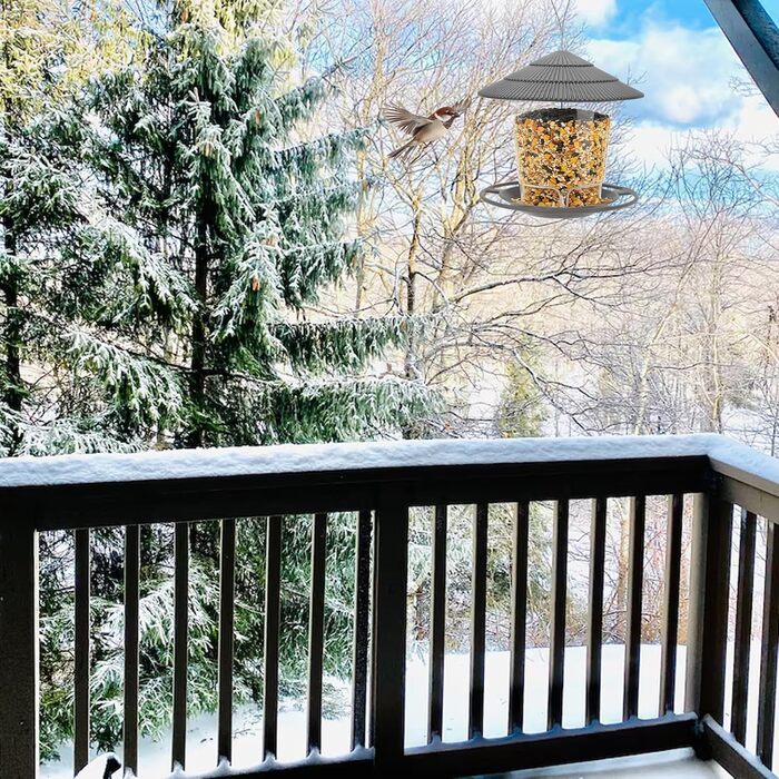 Годівниця для птахів вологостійка – годівниця для підвішування з гачком, прозора годівниця для балкона та саду, годівниця для диких птахів