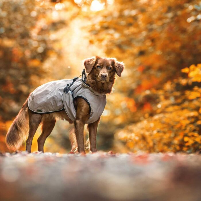 HUNTER Hundemantel UPPSALA: теплий водонепроникний дощовик для собак, тауп, розмір 30