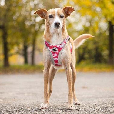 Трекінгові шкарпетки Croci Leopard - 350 г, розмір M, колір ARMY PINK