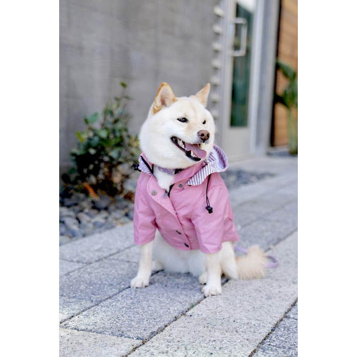Дощовик для собак Ellie Dog Wear з блискавкою, кишенями та світловідбивачами, знімний капюшон, розмір M, преміум якість