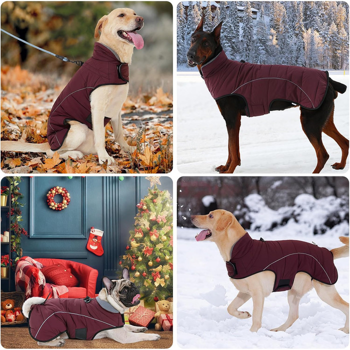 Водонепроникний теплий зимовий верхній одяг для собак Heywean: флісова куртка-пуловер з кільцем D, світловідбиваючими елементами та застібкою-липучкою. Підходить для малих, середніх та великих собак. Розмір M, колір: червоний.