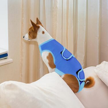 Комбінезон для собак після операції ASENKU: захист ран, анти-витік, альтернатива конусу (M, блакитний)