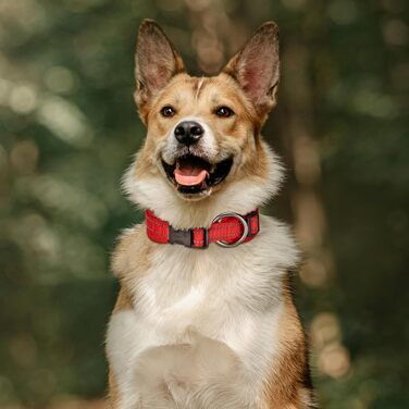 Нашийник для собак EXCELLENT ELITE SPANKER з PU матеріалу, з пряжкою, регульований, для малих, середніх та великих собак, чорний, червоний, синій (RED-L)