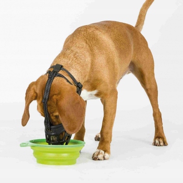 Еластичний намордник Trixie Muzzle Flex, розмір L (TX-17614)