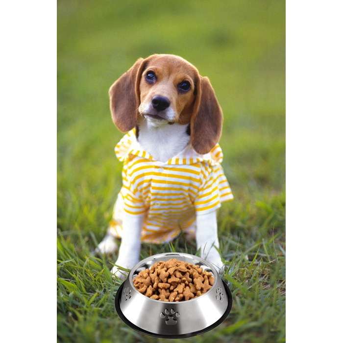 Набір з 2 мисок для собак з нержавіючої сталі, великі та малі, антиковзні, 30 см та 18 см