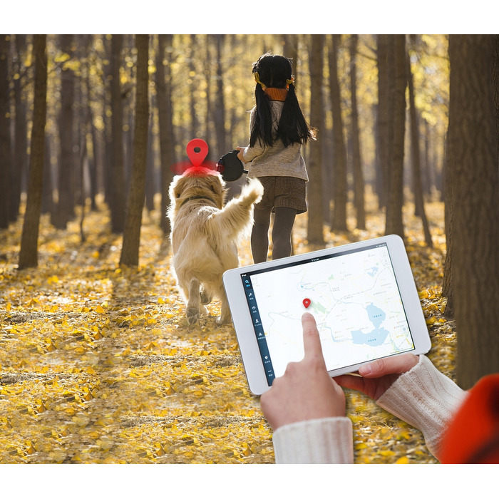 GPS-нашийник локатор TK909 для собак та котів, SOS, керування через додаток, без абонплати