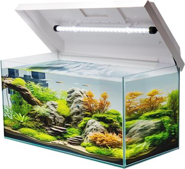 Акваріум прямокутний Juwel з LED кришкою, білий, 60x30x30 см, 54 л, скляний, для риб та водних рослин, ударостійкий