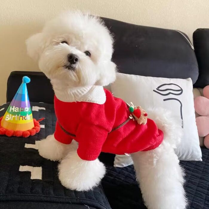 Пуловер для собак MuYaoPet з новорічним мотивом: сніжинки та олень, для собак та котів, в'язаний, з сумкою, костюм ялинки, червоний, розмір L, для прогулянок