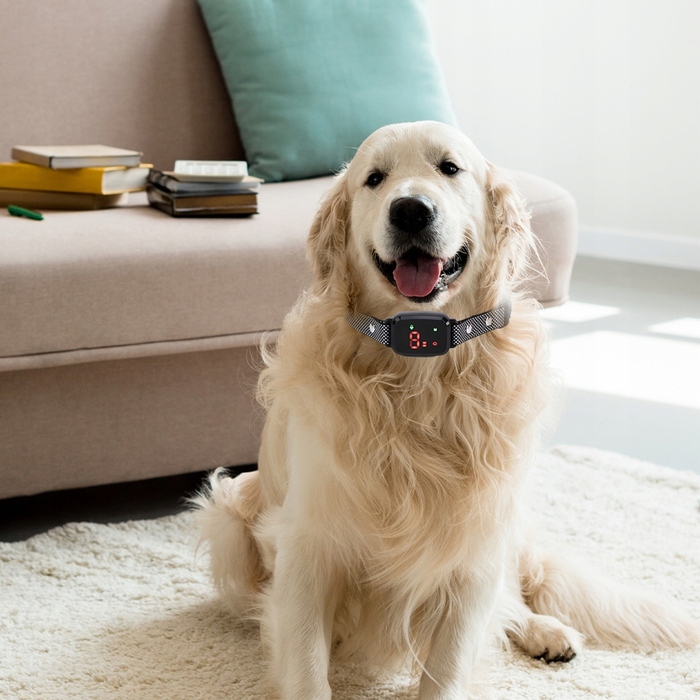 Антитягний нашийник для собак, тренувальний нашийник-пасок
