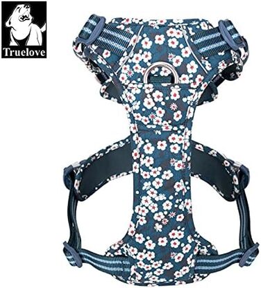 Нашийник для собак WINHYEPET Truelove No Pull TLH56512, світловідбиваючий, м'який, з регулюванням, XS, блакитний