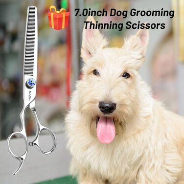 Професійна шерсть для собак 7 дюймів, японська сталь VG10, 50 зубців, безпечна, безшумна, тупа насадка, 30% розрідження, для собак та котів