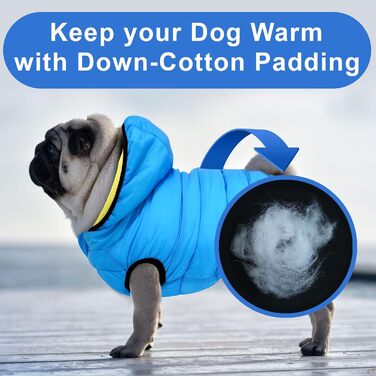 Ветровка для собак Pawtitas, вітронепроникна, водовідштовхувальна, чорно-блакитна, для великих порід, з кишенею, XX-Large