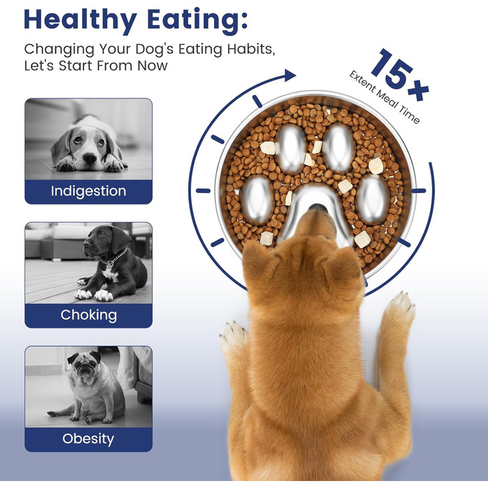 PETTOM Миска для собак протиковтання, нержавіюча сталь, Ø21 см, велика, повільне годування 21*21*4 см