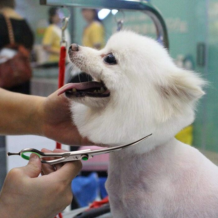 Набір професійних ножиць для грумінгу собак PURPLEBIRD: 440C сталь, 7 дюймів, 4 шт. (прямі, вигнуті, для розрідження)