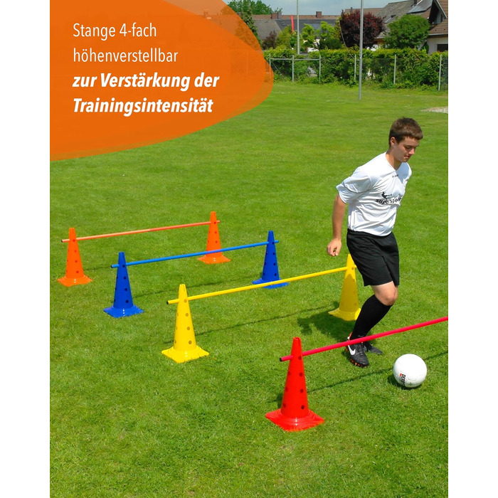 Набір для аджиліті SPORTIKEL24: 4 перешкоди для собак, коней та дітей (50 см, 100 см)