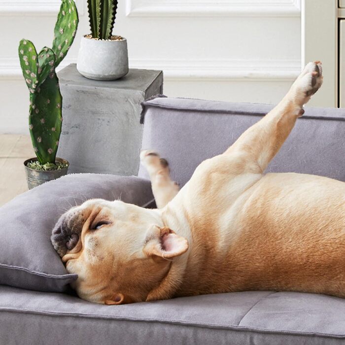 Ортопедичне ліжко для собак HomeConic середнього розміру - м'яке диван-ліжко з Memory Foam, зручне місце для сну, ліжко для собак та котів, сірого кольору