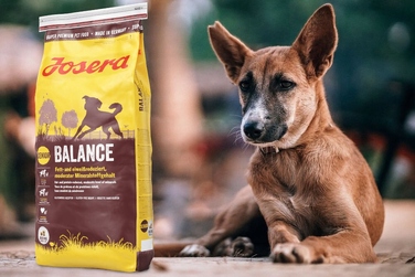 Сухий корм Josera Balance з птицею для собак із надмірною вагою, 12,5 кг