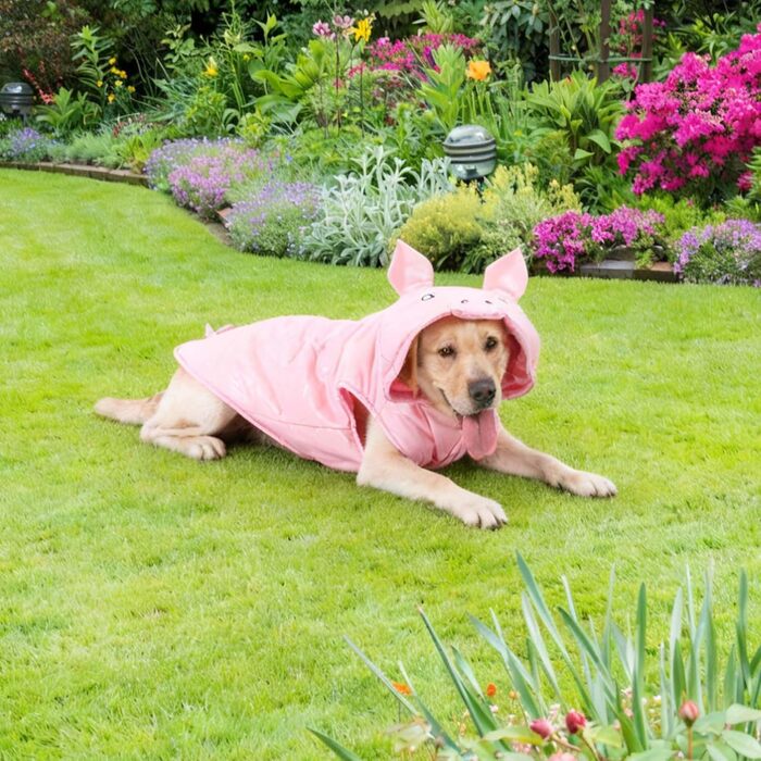 Костюм для собак 