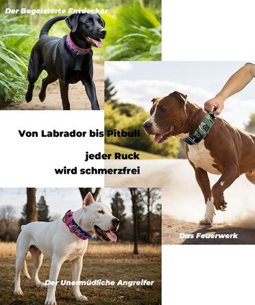 Нашийник для собак Premium NeckShield Kontroll – 5 см, з посиленим амортизуючим наповнювачем, сертифікована безпека SGS, професійний захист для великих і дуже великих собак, 50-58 см, колір Джунглі Ніч