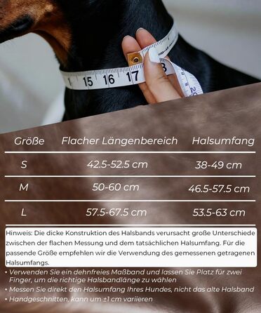 Нашийник для собак з натуральної шкіри, 5 см, чорний, розмір M (46.5-57.5 см)