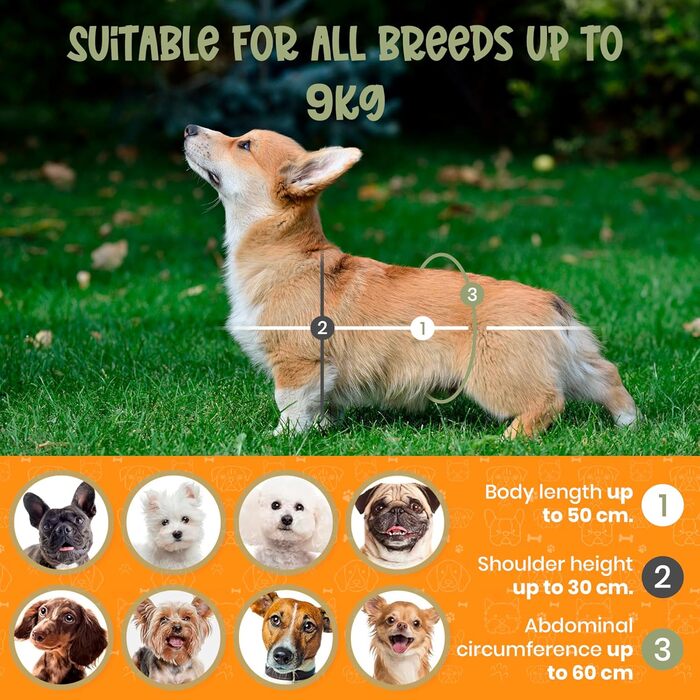 Рюкзак для собак Miracle Pets Rufftrails до 9 кг - водонепроникний, дихаючий, для походів, пляжу, парку - чорний
