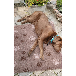 Підстилка для собак Drybed, розмір 100x80 см, коричнева, антиковзаюча, для відпочинку та сну