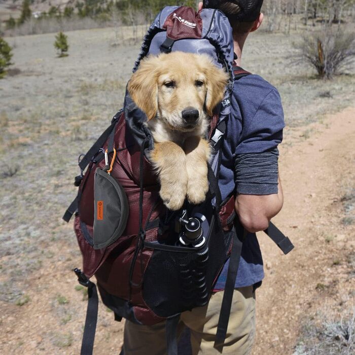 Набір мисок для собак LumoLeaf (2 шт.): 2L та 2.4L, портативні, складні, для подорожей, оранжевий + жовтий