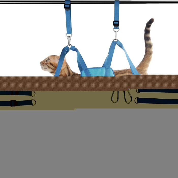 Нашийник для грумінгу собак Onlynery - м'який та зручний нашийник для догляду за шерстю | Легкий у чищенні та використанні для малих та середніх тварин, блакитний, розмір S