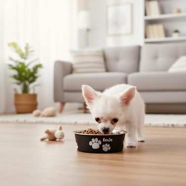 Персоналізований миска для собак з нержавіючої сталі 2200 мл – протиковзкий кільце – для великих собак – з іменем – Petslino (Чорний, XS)