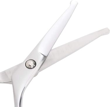 Набір професійних ножиць для собак з нержавіючої сталі - для всіх порід - з ножицями для фінальної обробки, гребінцем та ганчіркою - сріблястий Model4101328