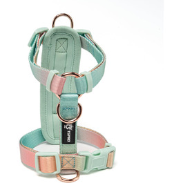 Нашийник для собак середніх порід TSPRO, не тягне, жовто-зелений градієнт, розмір 2 (40-70 см)