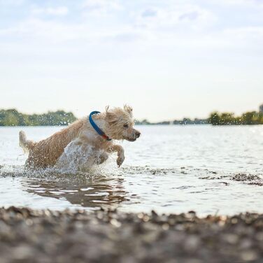 Нашийник для собак HUNTER OSS, петроль, L-XL, мотузка, карабін, морський стиль