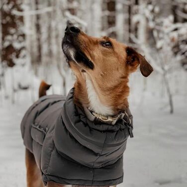 Водонепроникна зимова куртка для собак, тепла куртка від снігу, одяг для тварин, теплий одяг для великих собак, сірий колір