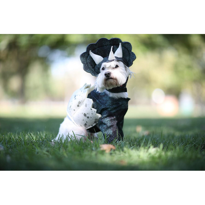 Костюм динозавра для собак California Costumes, розмір S, темно-зелений (Окружність шиї: 30-36 см, Окружність грудей: 41-51 см, Довжина спини: 30 см)