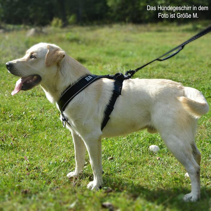 Нашийник для собак ILII - міцний, елегантний та комфортний. Унікальний дизайн для середніх та великих собак. Чорний, мінімальне покриття.