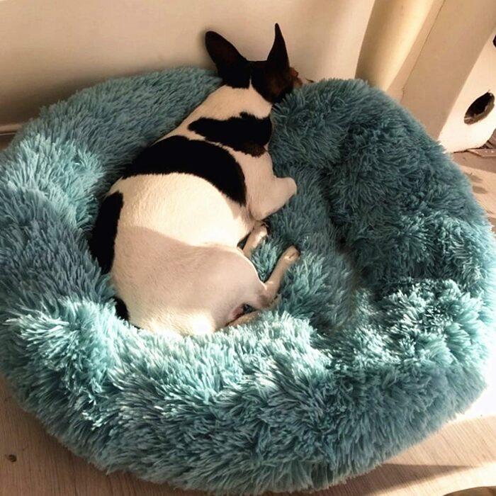 М'яке ліжко для домашніх тварин: зручне лежання для собак та котів (70 см, зелений)