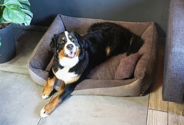 Затишне текстильне лежак для собак TEO, 100x80 см, розмір 4L